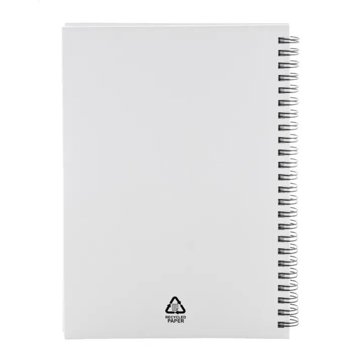 Notebook - AP800194 (ANDA#01)